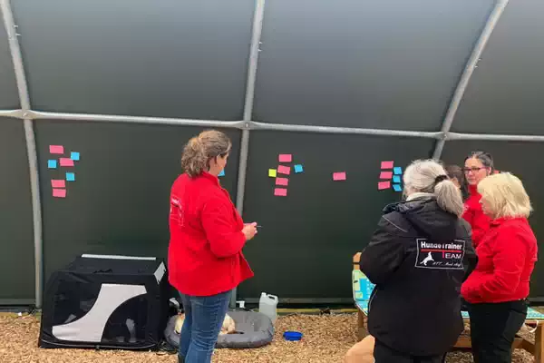 Hundetraining in der Hundeschule Hundeblick